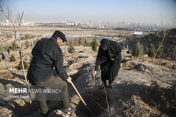 Planting trees by martyrs mothers in Mashhad
