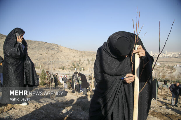 Planting trees by martyrs mothers in Mashhad
