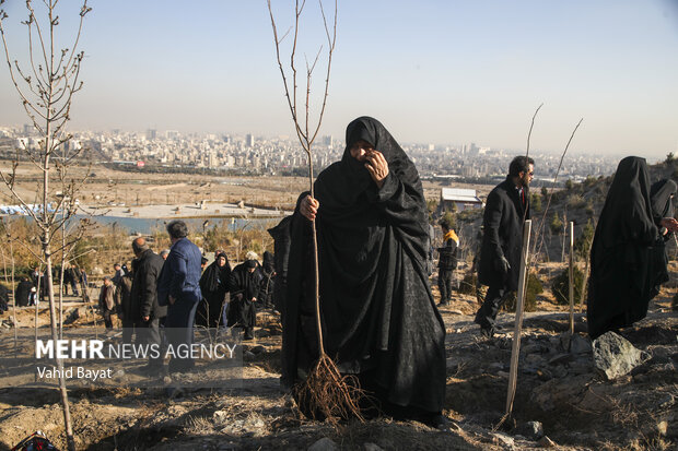 Planting trees by martyrs mothers in Mashhad
