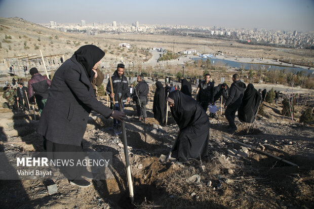 Planting trees by martyrs mothers in Mashhad
