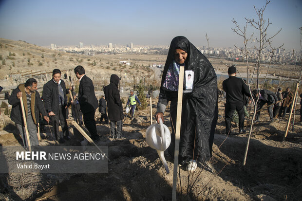 Planting trees by martyrs mothers in Mashhad
