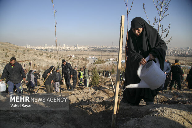 Planting trees by martyrs mothers in Mashhad
