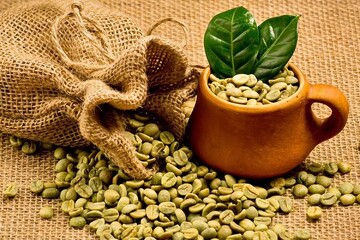 حقیقت یا شایعه بودن تاثیر قهوه سبز بر سلامتی بدن