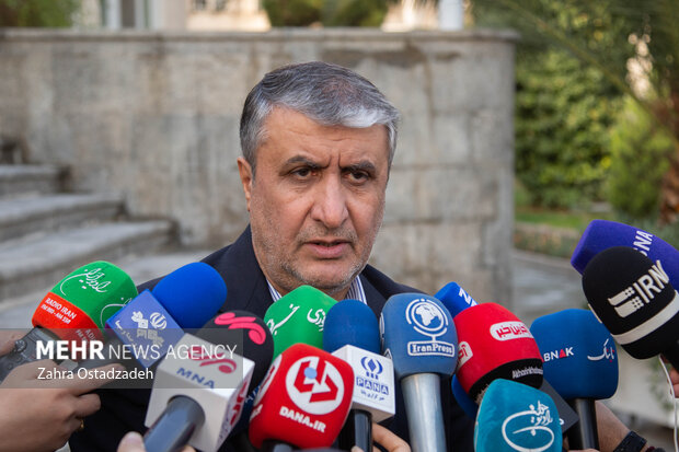 محمد اسلامی معاون رئیس‌جمهور و رئیس سازمان انرژی اتمی ایران در حال پاسخگویی به سئوالات خبرنگاران است