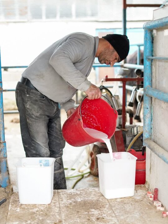 روایت کارآفرینی بانوی جنوبی در گیلان