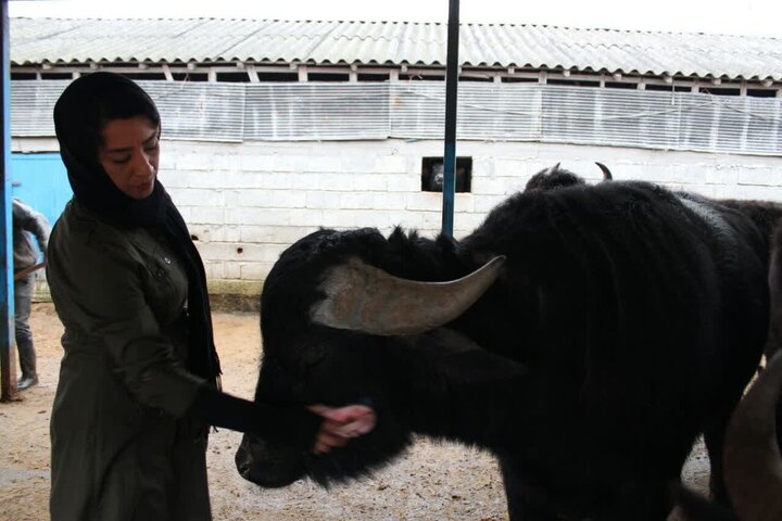 روایت کارآفرینی بانوی جنوبی در گیلان