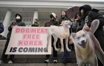 تصویب لایحه ممنوعیت خرید و فروش گوشت سگ برای مصرف انسان در پارلمان کره جنوبی