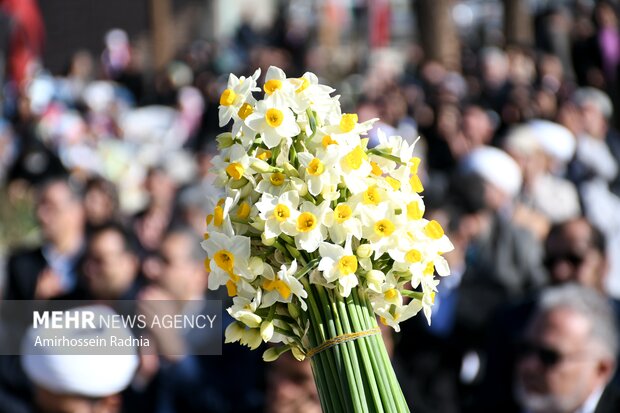 ادب فارسی و گلهایی که آن را آراستهاند؛ کدام گل در ادب فارسی «گل» است
