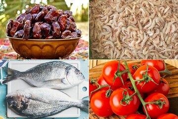 تولیدات استان بوشهر بازار خارجی می‌خواهند/ از ماهی و میگو تا خرما و گوجه‌فرنگی