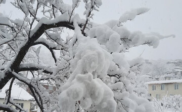 بارش برف بخش آسارا و مرکزی را سفیدپوش کرد