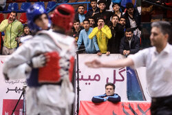 رقابت  ۹۳۱ تکواندوکار در چهار رویداد بین المللی تهران