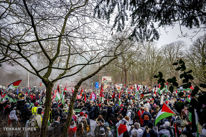 Protests as UN top court hears genocide case against Israel over Gaza war