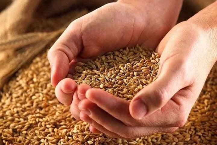 رشد ۲۲ درصدی زکات در استان قزوین رشد ۲۲ درصدی زکات در استان قزوین