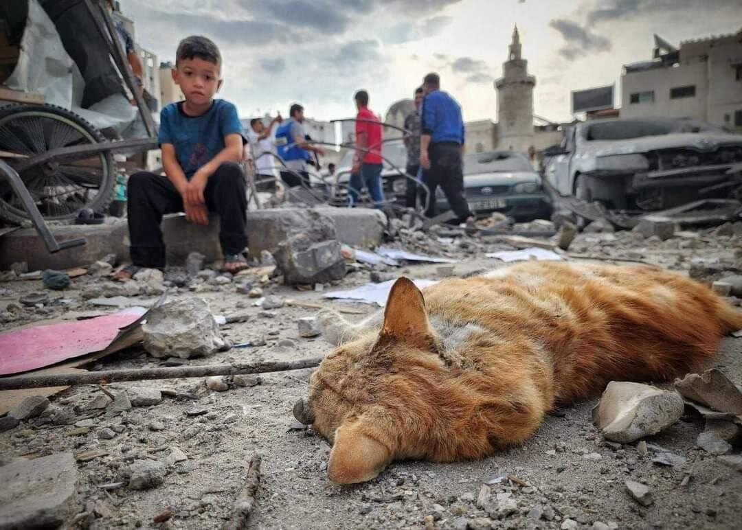 ۱۰۰ روز جنگ در غزه به روایت تصویر