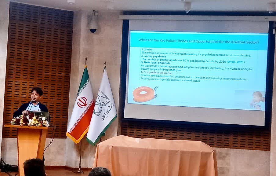 ارقام جدید کیوی گیلان سلامت محور و اقتصادی است ارقام جدید کیوی گیلان سلامت محور و اقتصادی است