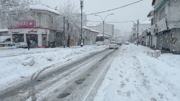تصاویری از بارش برف در خیابان لاکانی رشت