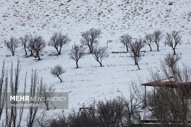 جلوه های زمستانی گنجنامه