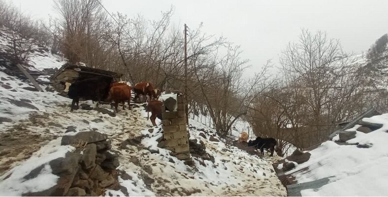 بارش برف در بیش از ١٠٠ روستای بخش رحیم آباد رودسر بارش برف در بیش از ١٠٠ روستای بخش رحیم آباد رودسر