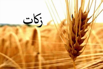 مازندرانی ها امسال ۱۱۳ میلیارد تومان زکات پرداخت کردند