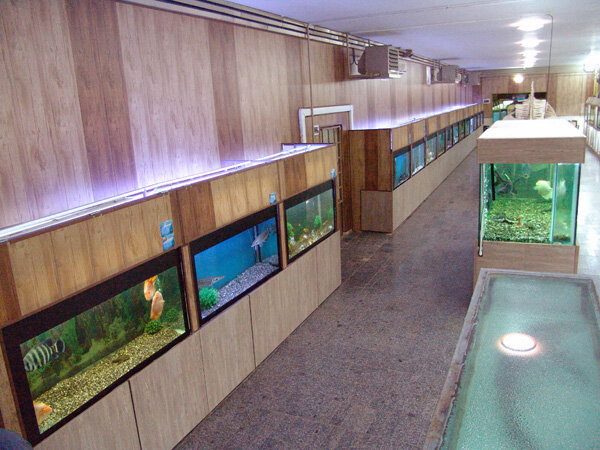 موزهای کامل از تاریخ طبیعت در همدان/از فسیل تا جنین انسان