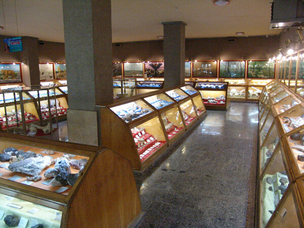 موزهای کامل از تاریخ طبیعت در همدان/از فسیل تا جنین انسان