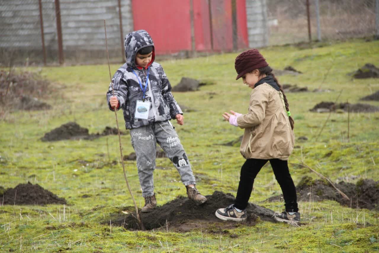 نقش مدارس در تحقق طرح کاشت یک میلیارد درخت پررنگ است