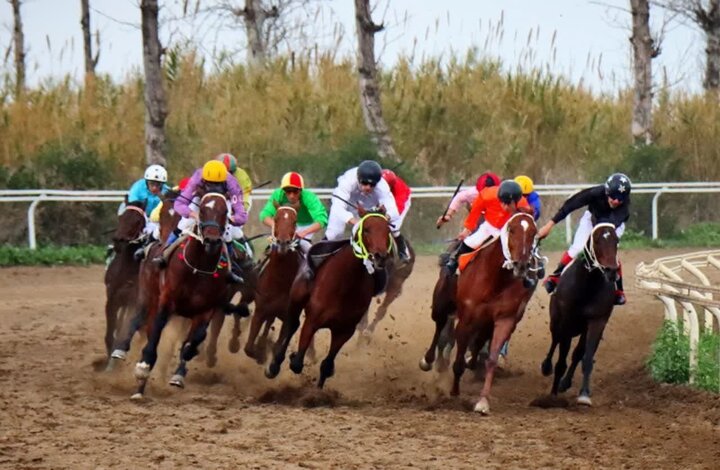 مسابقات بینالمللی سوارکاری برگزار شد / نفرات برتر مشخص شدند