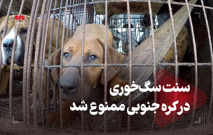 سنت سگخوری در کره جنوبی ممنوع شد سنت سگخوری در کره جنوبی ممنوع شد