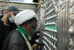 «شیخ ابراهیم زکزاکی» رهبر شیعیان نیجریه به قم سفر کرد+تصاویر