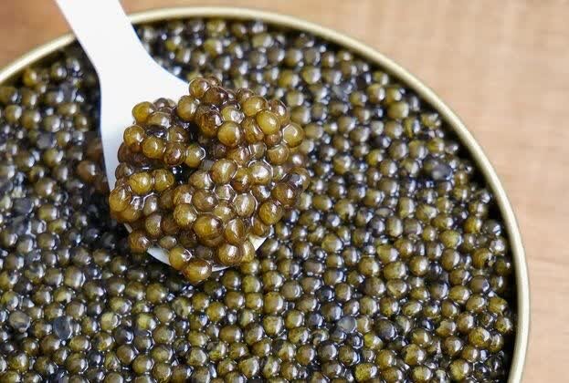 İran havyarı: Hazar Denizi'nin siyah elması