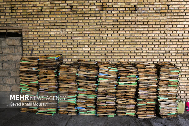 ییلاق و قشلاق زنبوری