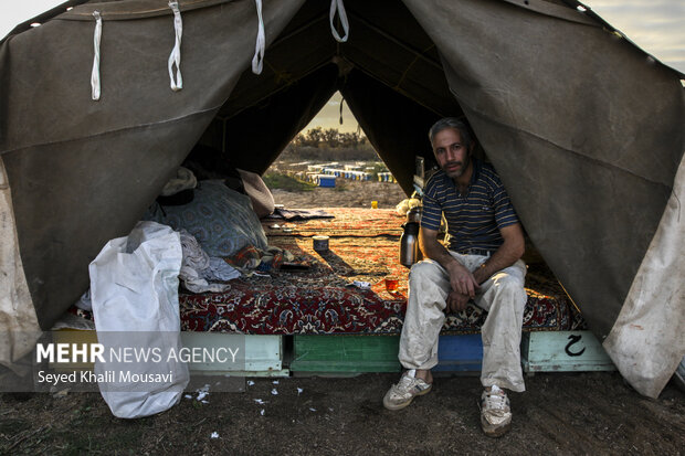 ییلاق و قشلاق زنبوری