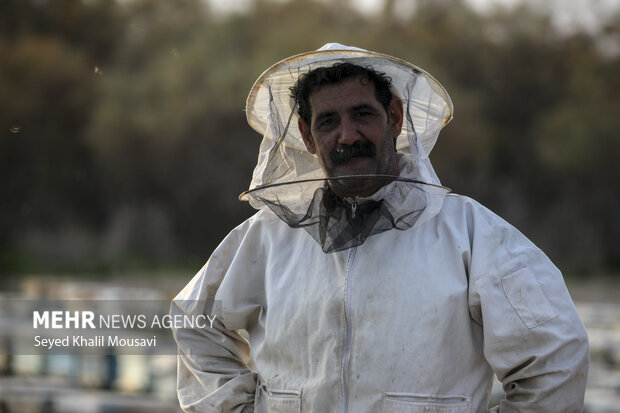 ییلاق و قشلاق زنبوری