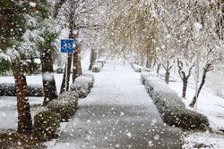 First snowfall in Urmia