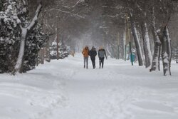 تهران یخ می زند؛ ضرورت غیر حضوری شدن مدارس