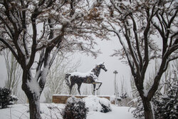 Snowy Tabriz in NW Iran