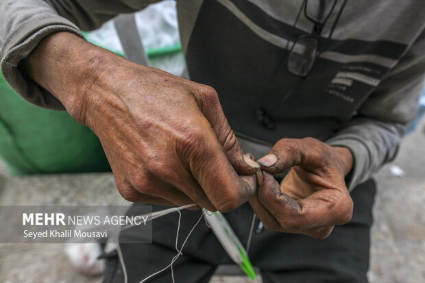 عمو عارف تور باف