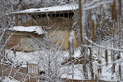 پاییز زمستانی دهستان اشکور