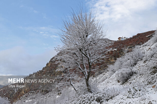 زمستان برفی روستای تاریخی و گردشگری زیارت گرگان