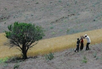 ۱۸۴ اثر به جشنواره فیلم کوتاه سکانس حماسه ارسال شد