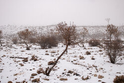 سامانه بارشی جنوب آذربایجان‌غربی را فرا می‌گیرد