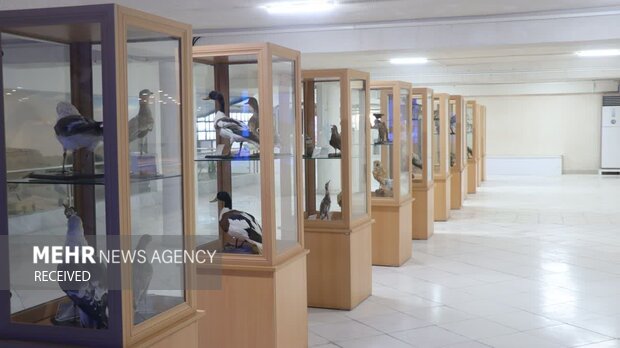 ۲۶ اثر تاریخی جزیره قشم برای ثبت ملی ارزشیابی شد