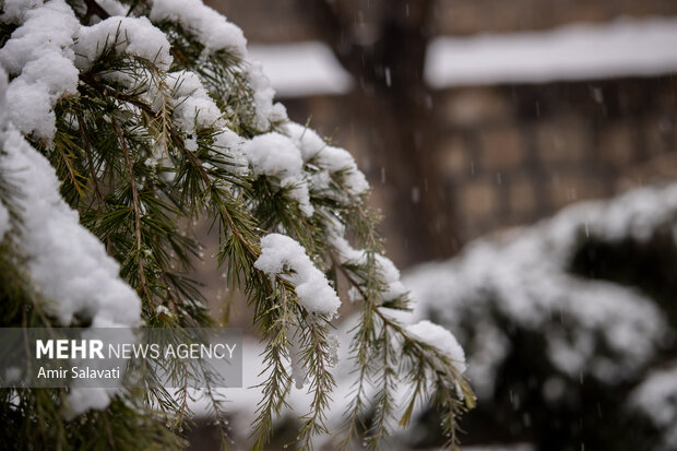 بهبود بارش ها/زمستان؛ کم بارشی پاییز را جبران می کند؟