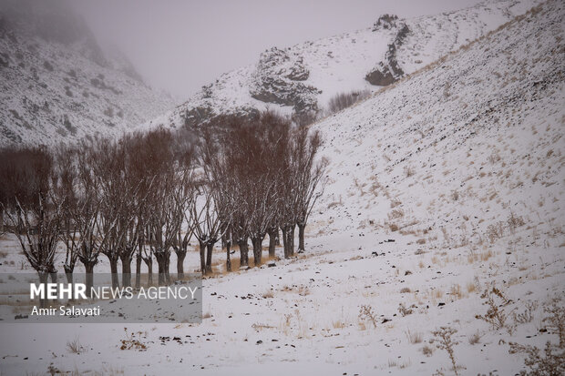 بهبود بارش ها/زمستان؛ کم بارشی پاییز را جبران می کند؟