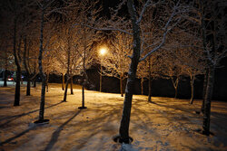 Hemedan kenti gece boyunca kar yağışı ile beyaza büründü