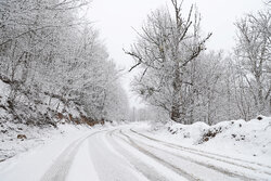 Snow blankets northern Iran