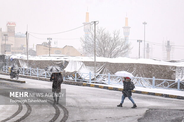 اولین برف زمستانی، در مناطق شمالی تهران امروز ۱۱ بهمن ۱۴۰۲ شروع به بارش کردو زمین را سفید پوش کرد