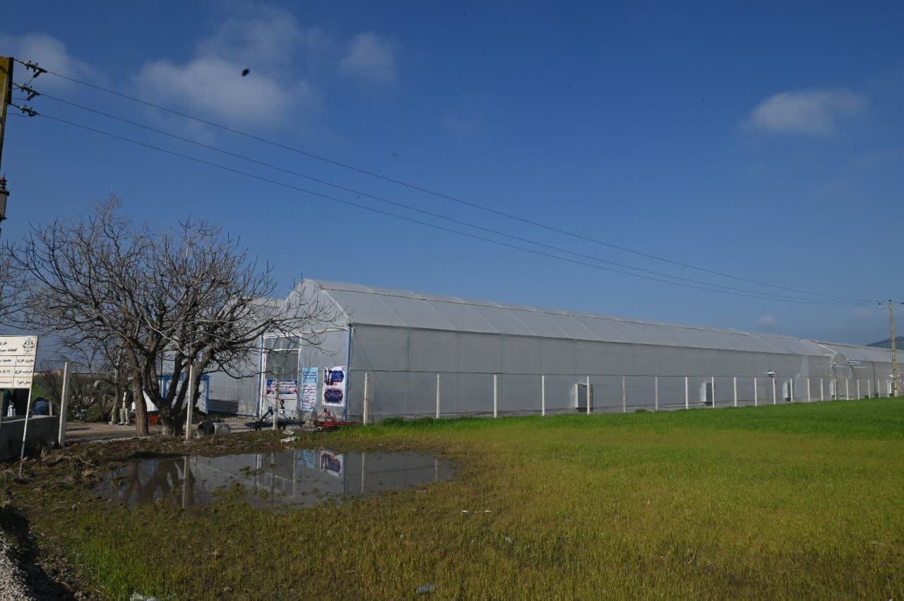 پایتخت گل در انتظار فناوری نوین/مکانیابی غلط به مشکلات دامن زد