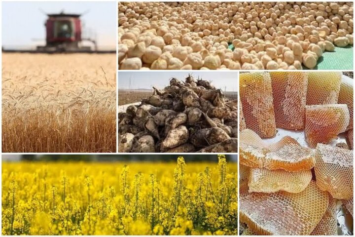 توسعه کشاورزی کرمانشاه با تکیه بر دانش و منابع آبی دنبال میشود