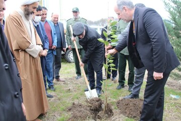 ۶ اصله نهال به یاد شهدای انقلاب در رودسر غرس شد
